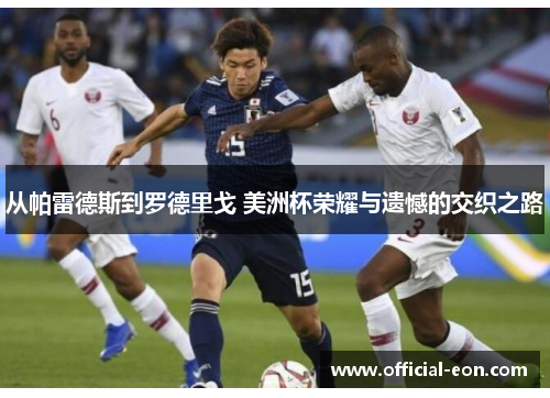 从帕雷德斯到罗德里戈 美洲杯荣耀与遗憾的交织之路